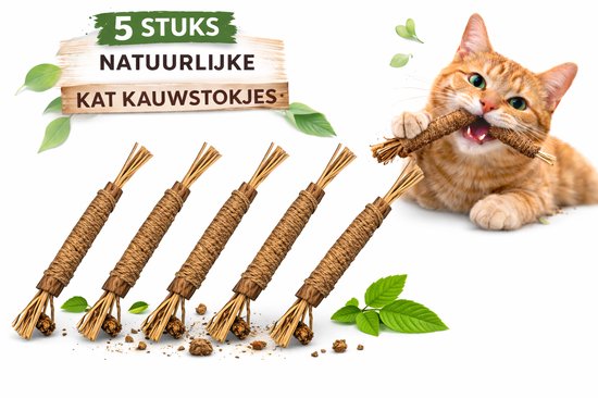 5 Stuks Natuurlijke Kauwstokjes voor Katten – Catnip Speelgoed – Gebitsverzorging, Frisse Adem & Kattenspeeltje voor Kitten en Kat