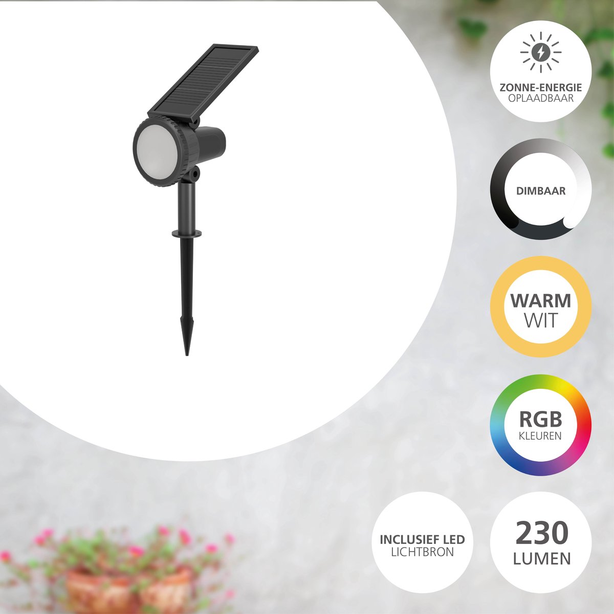 Eglo Sambuco Solaire spot de jardin à piquer extérieur - LED - 37,5 cm - Noir