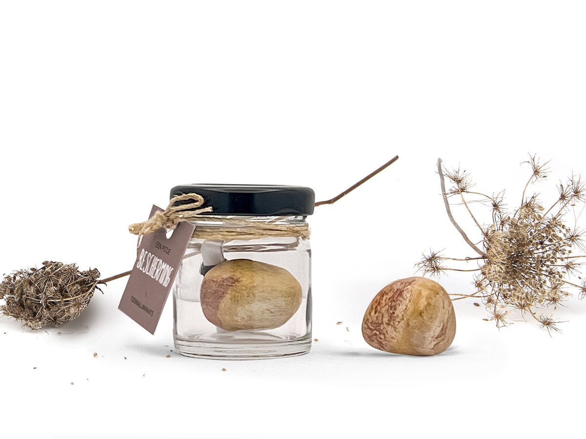 Potje Bescherming - Versteend Hout Steen | Edelsteen Cadeau voor Rust & Bescherming