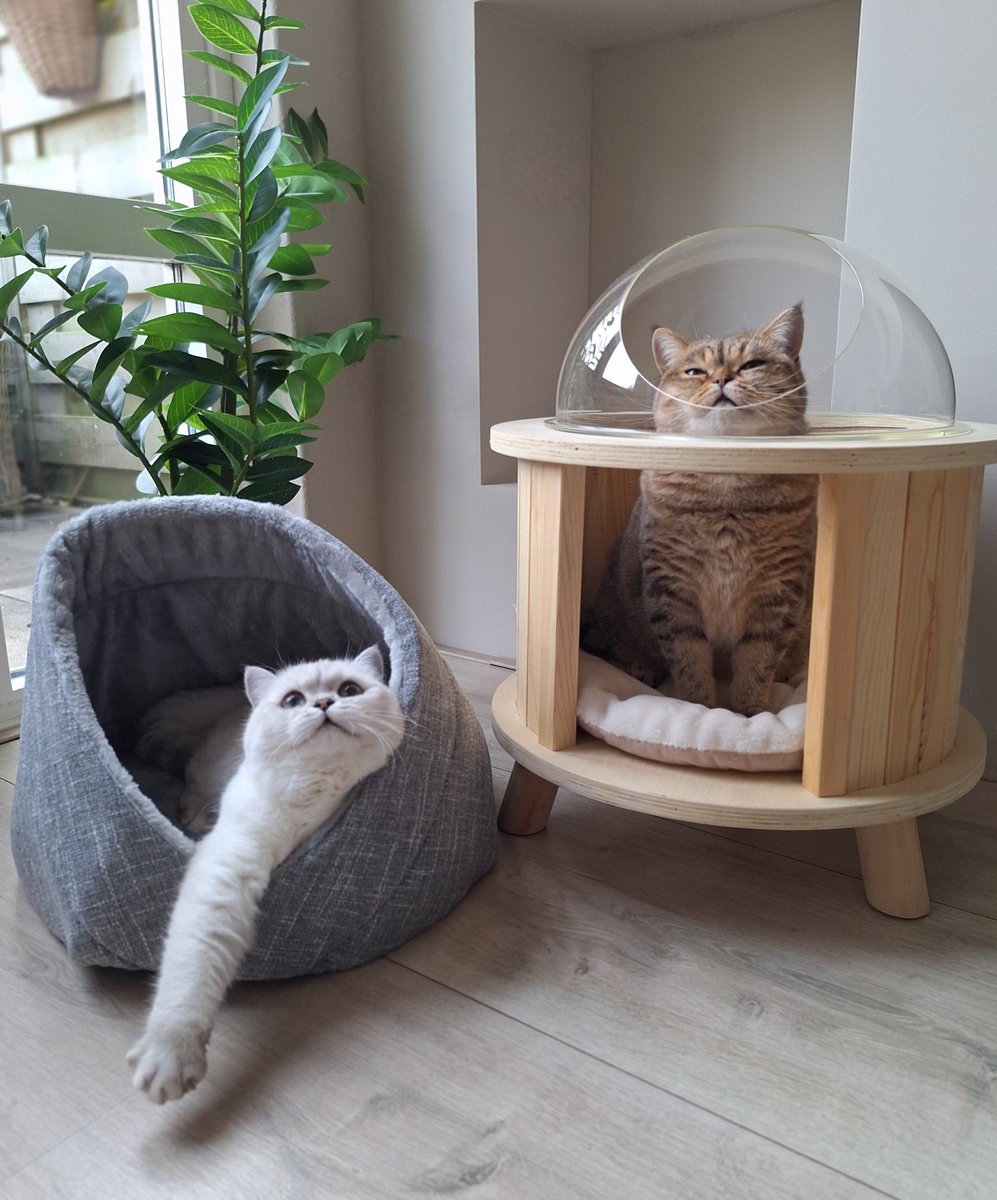 Momo kattenbed - makkelijk schoon te maken - perfect voor katten – foto 6