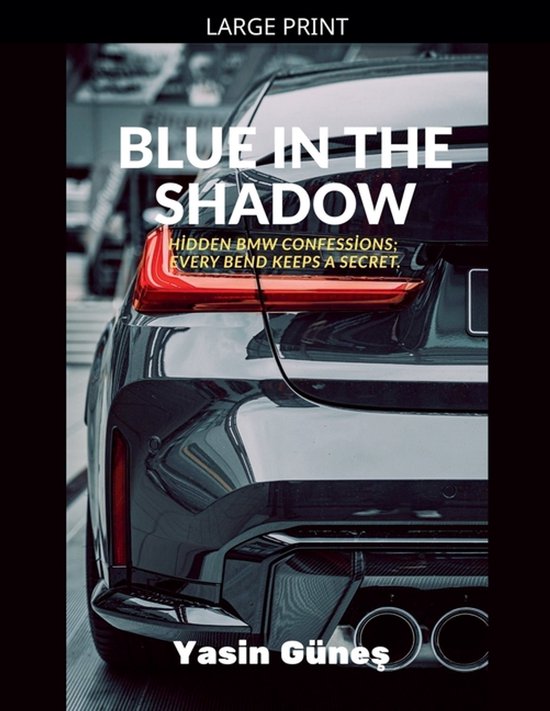 Blue in the Shadow - Hidden BMW confessions; every bend keep ... - cover