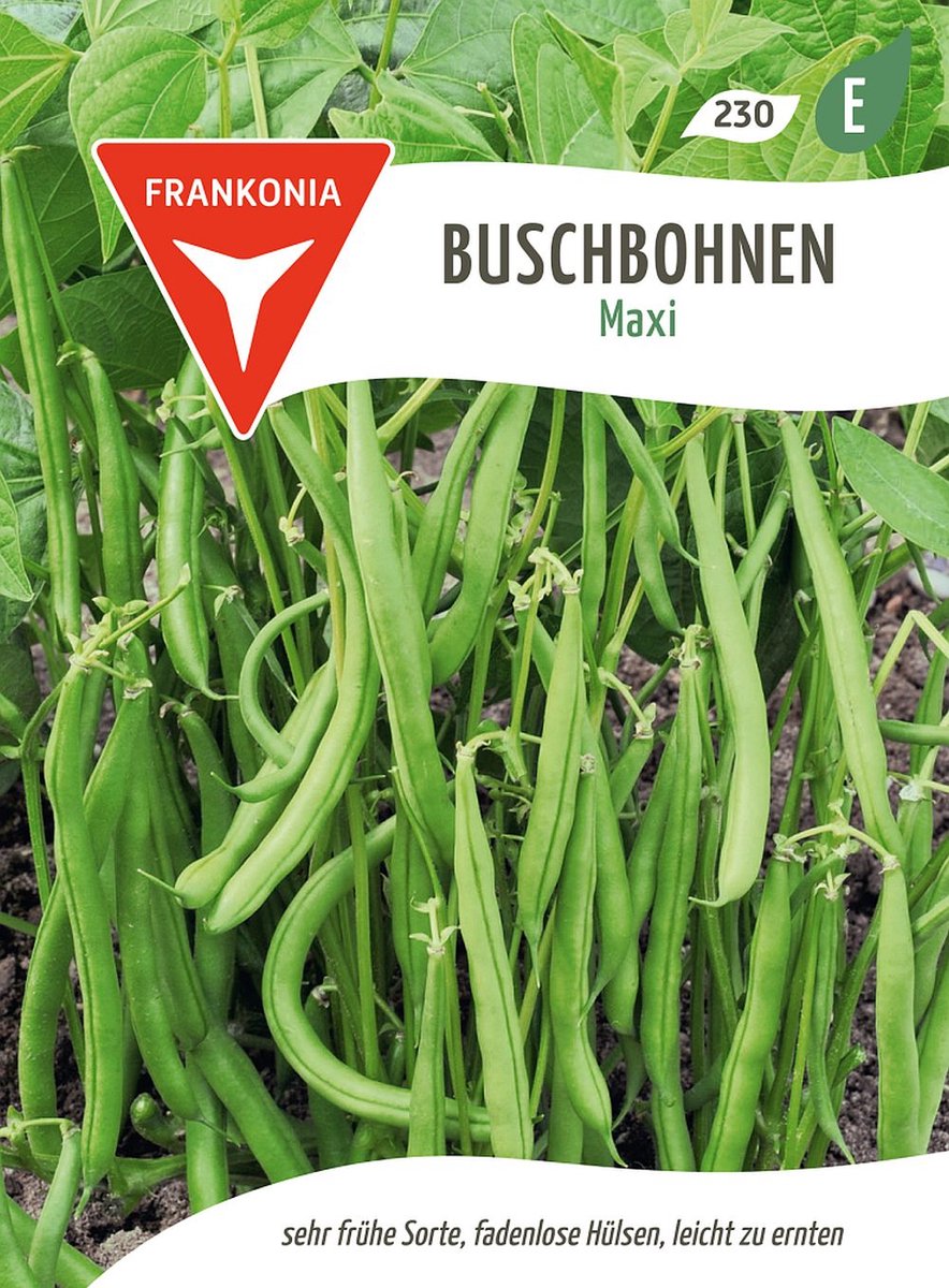 Struikboon, Maxi - Bestseller Bonenzaden Groentezaden Zaden
