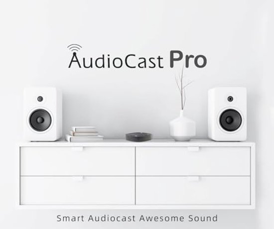 Draadloze WiFi Audio Ontvanger voor Multiroom Streaming - AirPlay, Bluetooth en Ethernet Ondersteuning — afbeelding 2
