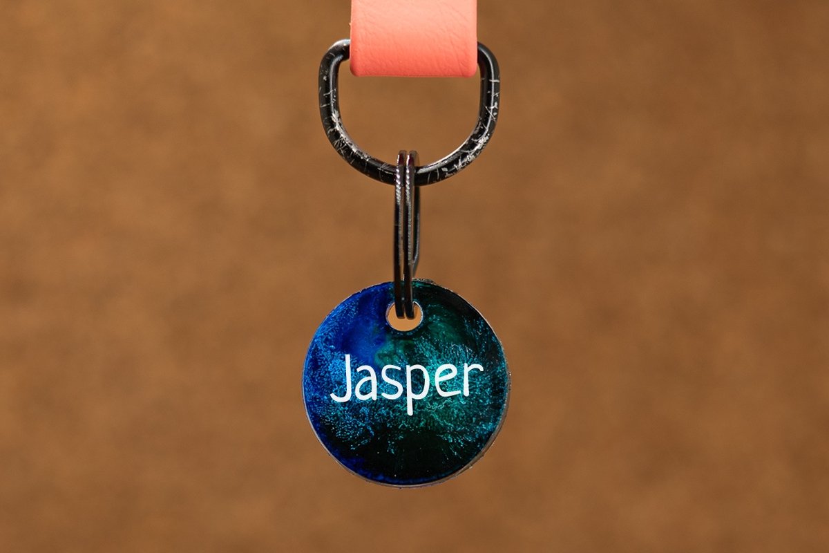 Crackerjack hondenpenning groen/blauw- Gepersonaliseerd - Slijtvast - Moddervast - Uniek ontwerp
