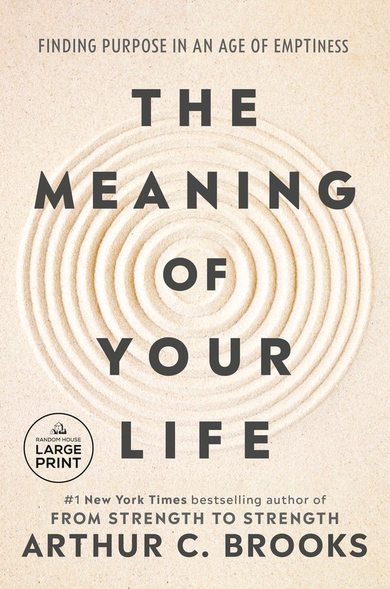 The Meaning of Your Life - cover
