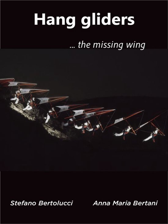 Hang gliders...the missing wing - cover