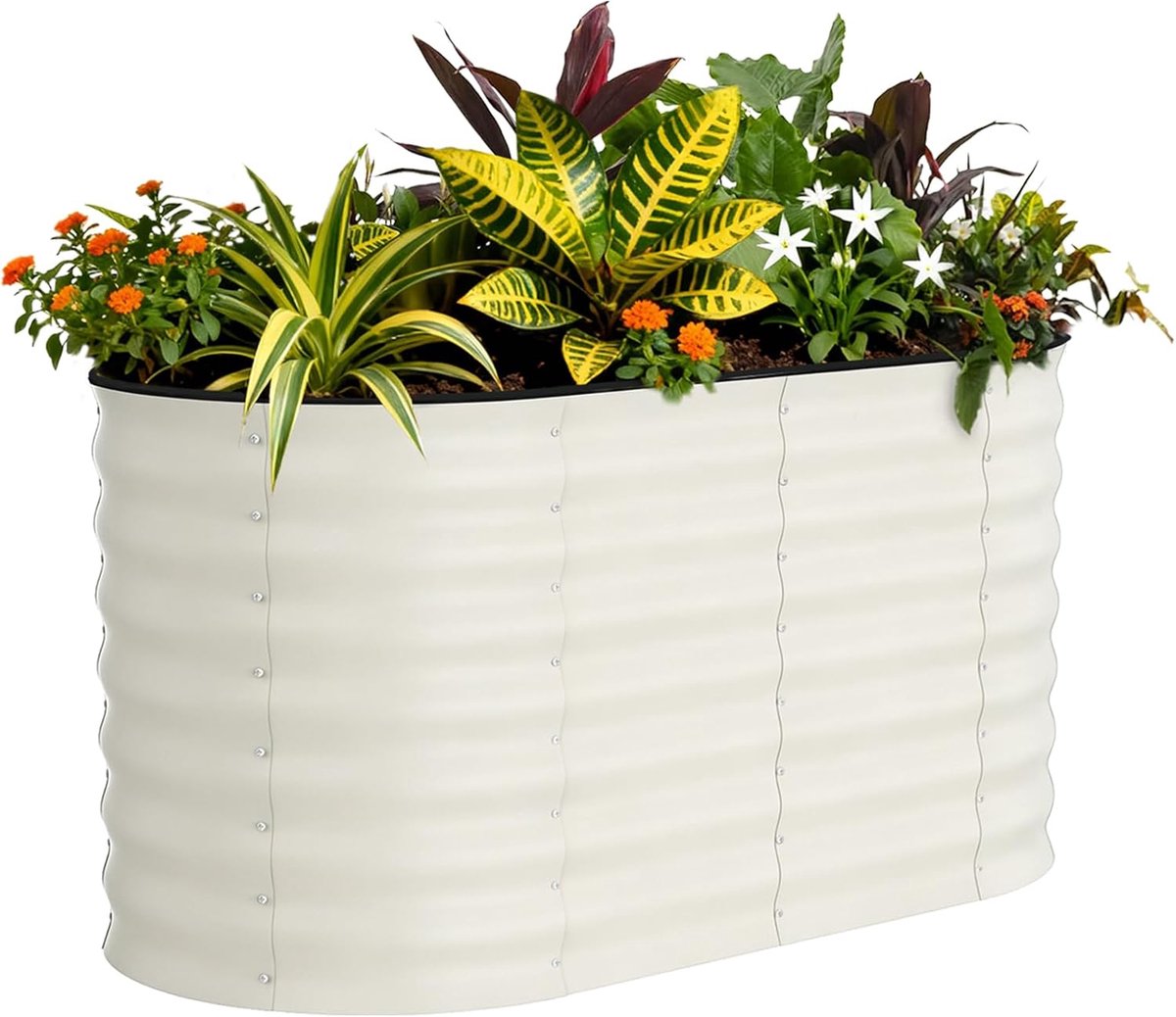 HoerFuriy Moestuinbak Verhoogd - 120x60x60 cm - Gegalvaniseerd Staal - Ovaal Plantenbed Zonder Bodem - Inclusief Veiligheidsstrips - Beige