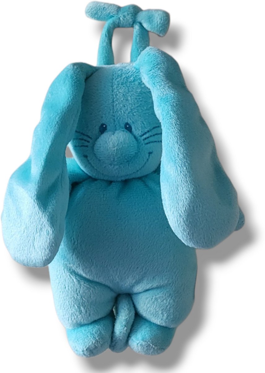 Tiamo Muziekdoosje Blauw Konijn