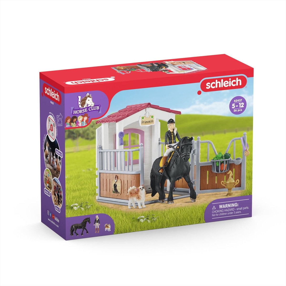 schleich HORSE CLUB - Speelfigurenset - Paardenstal met Horse Club Tori & Princess - Kinderspeelgoed voor Jongens en Meisjes - 5 tot 12 jaar - 14 Onderdelen - 42437 — afbeelding 14