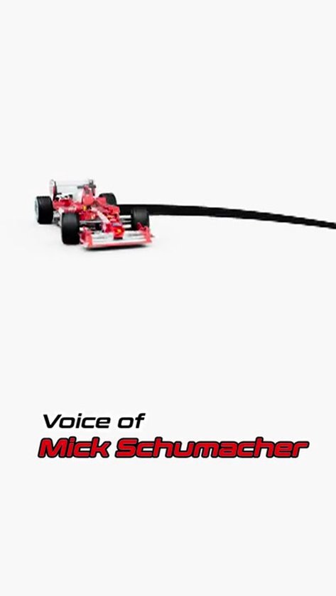 LEGO Icons Ferrari F2004 en Michael Schumacher - 11375