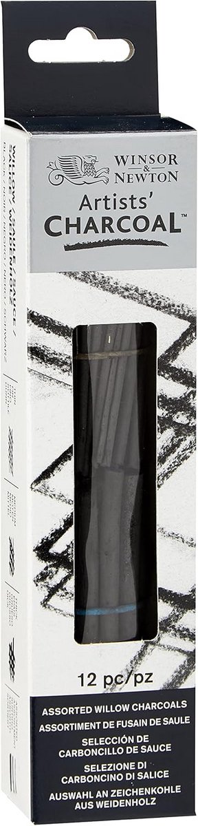 Professionele Tekenkool Assortiment voor Kunstenaars - 24 Stuks