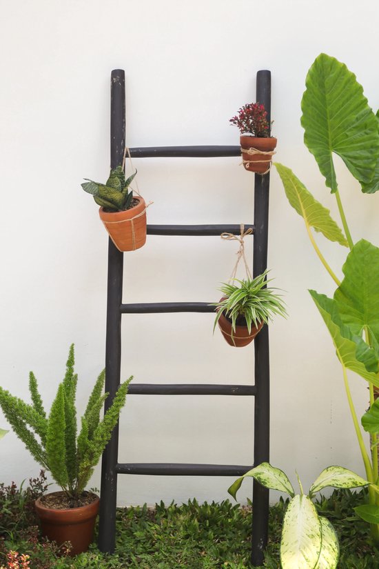 Zwarte decoratieve ladder met drie potten planten in terra cotta potten, tegen een witte muur.