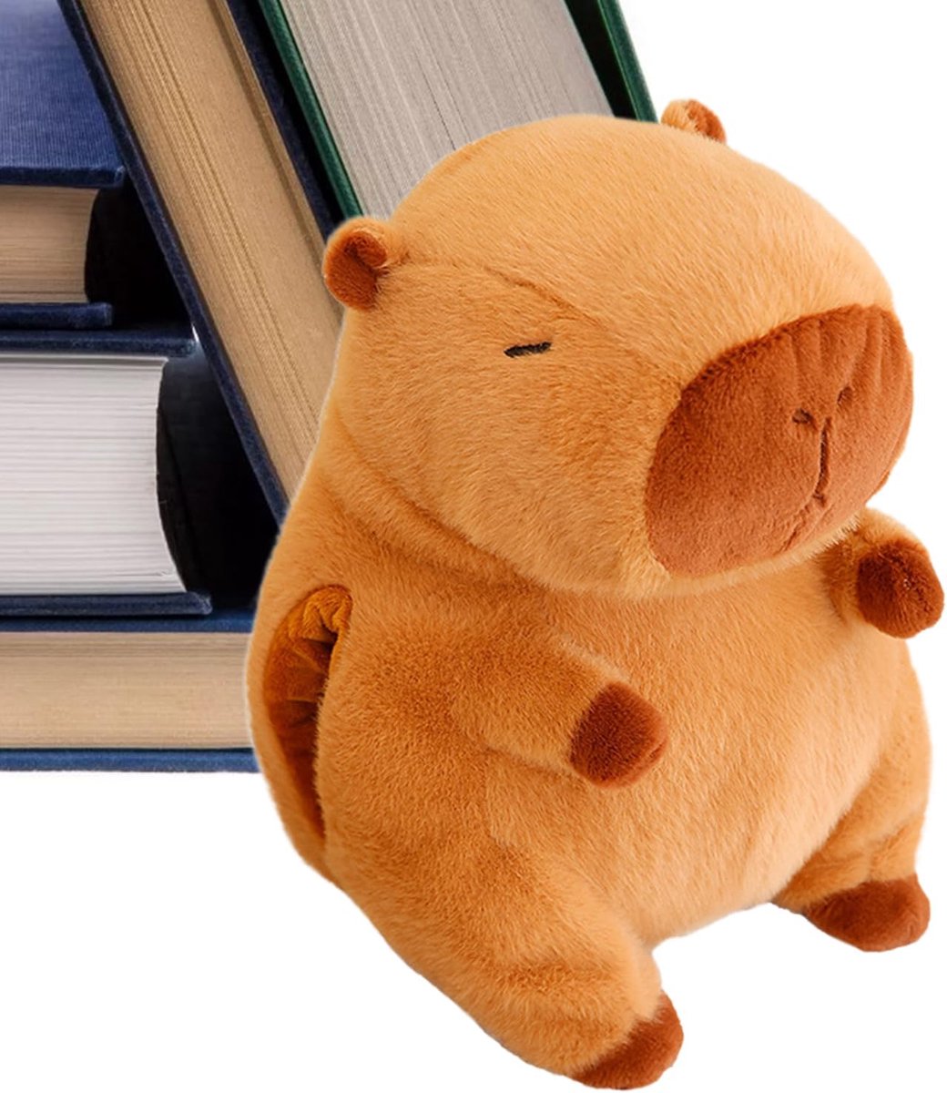 Pluche Kussen - Knuffelkussen Opwarmbaar - Reizen Kamperen - Wasbaar Duurzaam Ontwerp - 32 cm