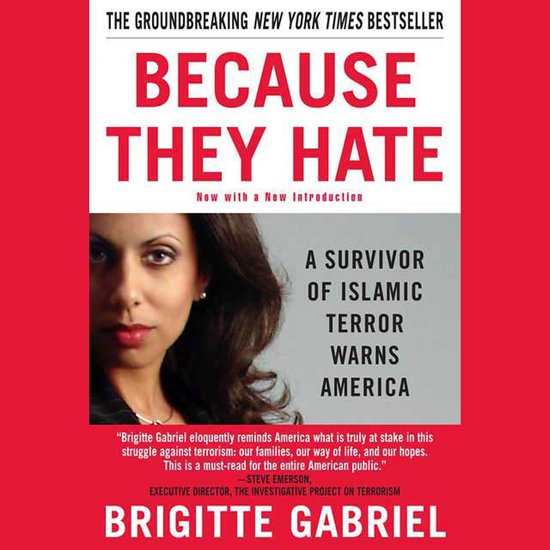 Because They Hate - cover