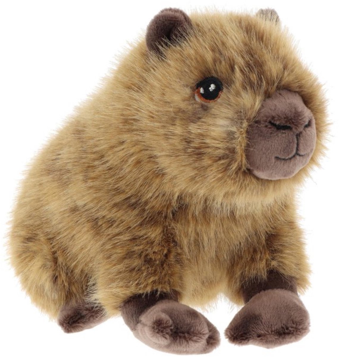 Keel Toys pluche Capybara - knuffeldier - bruin - zittend - 25 cm - knuffel Capybara - Eco collectie