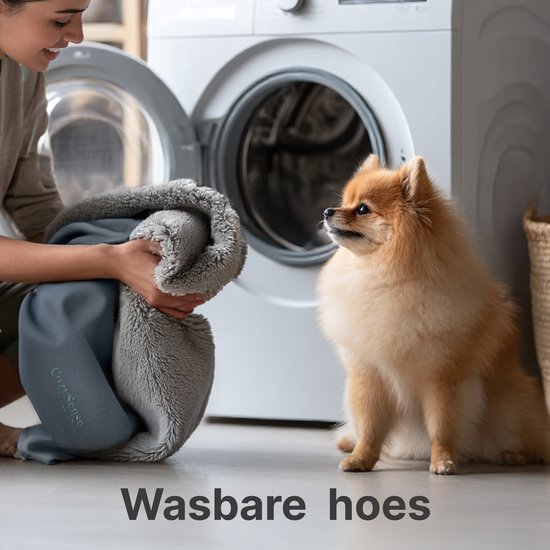 Vrouw met wasmachine en hondenmand, naast een pomerian.
