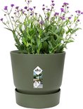 Olijfgroene bloempot met paarse bloemen en een schotel, met het Elho logo op de voorkant.