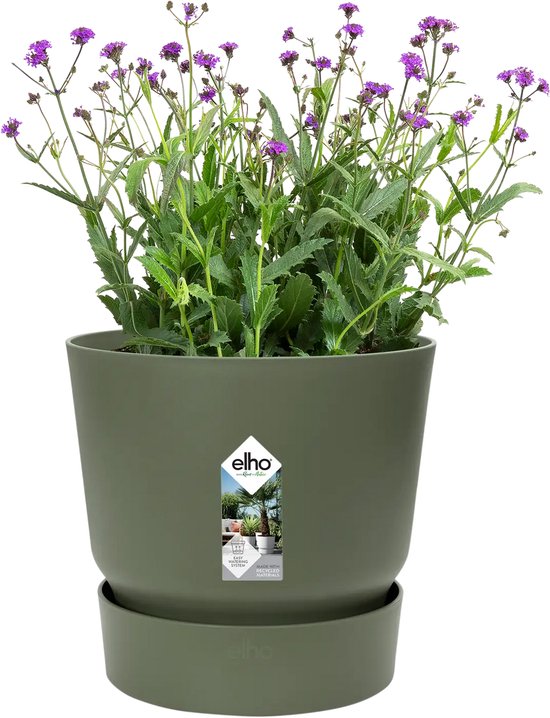Olijfgroene bloempot met paarse bloemen en een schotel, met het Elho logo op de voorkant.