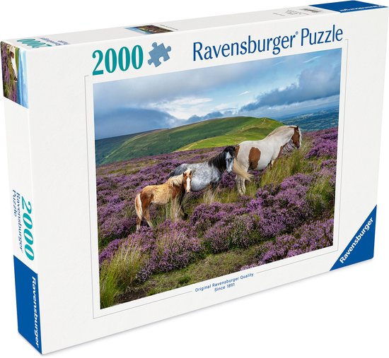 Gratis Online Puzzels - Kruiswoordpuzzels, Sudoku's, Quizzen en
