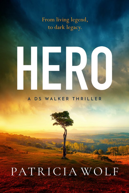 Hero - cover