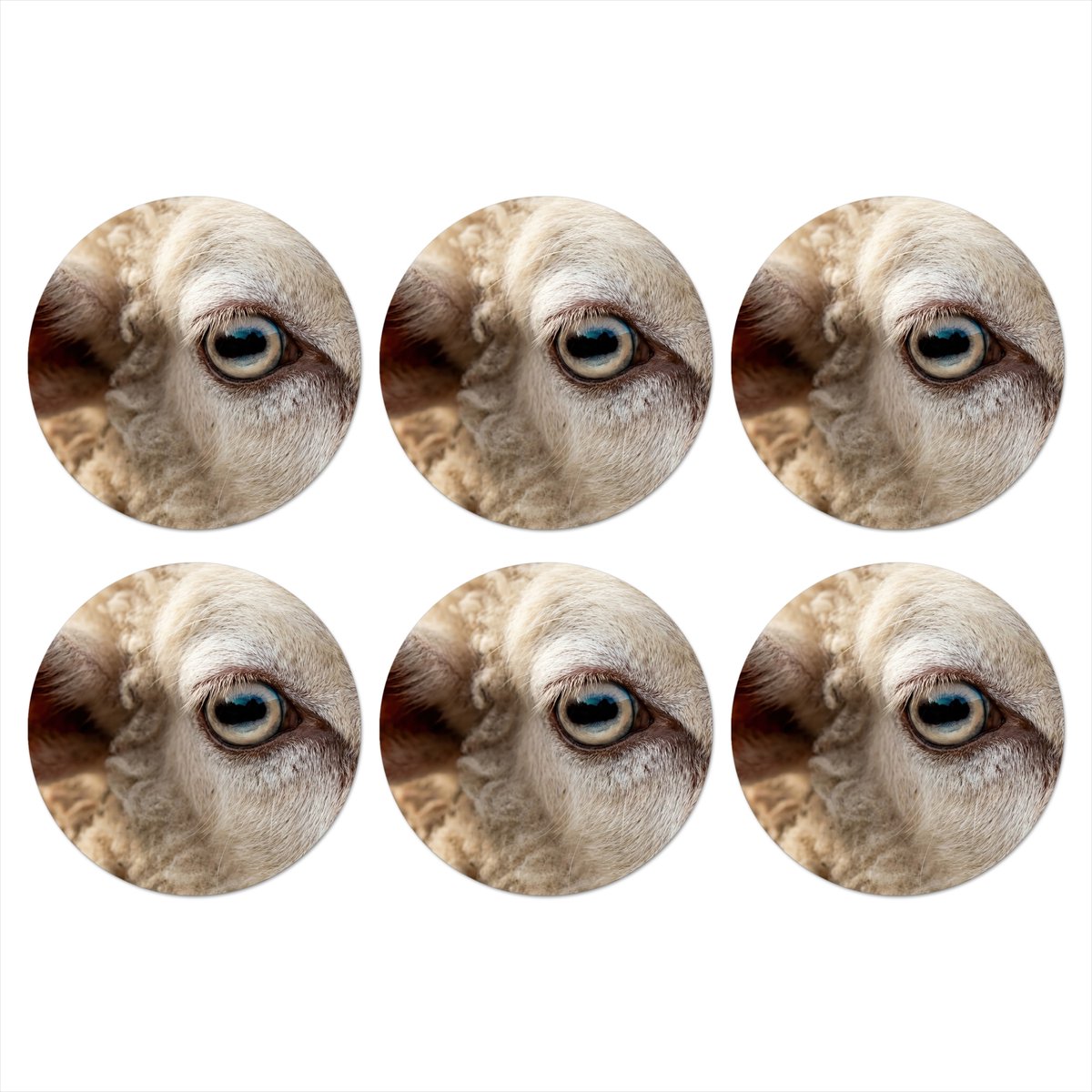 Onderzetters voor glazen - Rond - Schaap - Oog - Wit - 10x10 cm - Glasonderzetters - 6 stuks