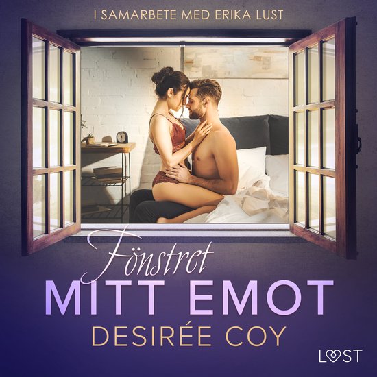 Fönstret mitt emot - erotisk novell - cover