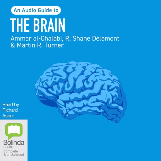 The Brain - cover