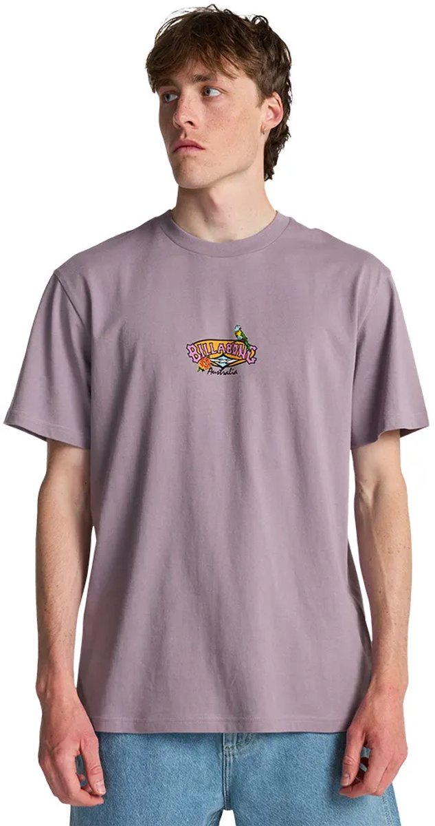 Billabong Origin T-shirt Met Korte Mouwen S Man Paars