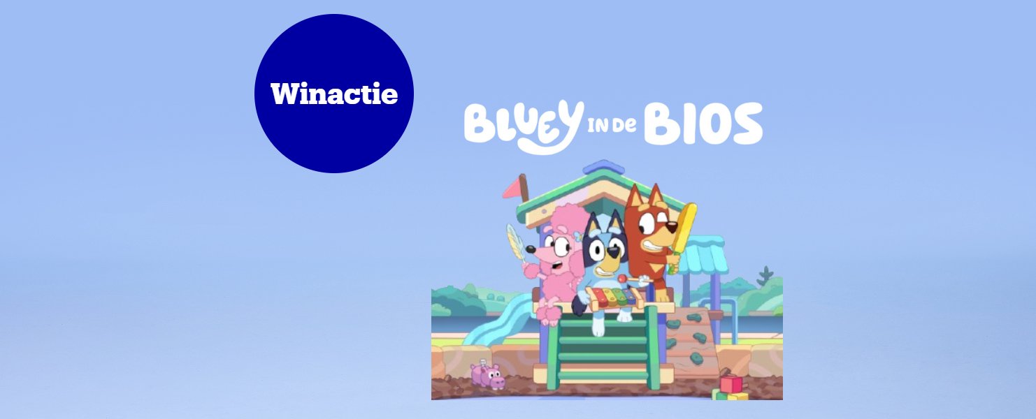 Achetez un produit Bluey et