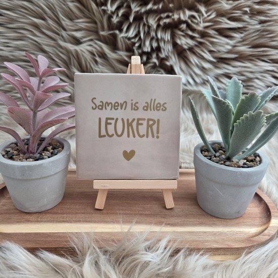 Robuust wenstegeltje “Samen is alles leuker!” – Liefde & Vriendschap Cadeau – Keramiek – Decoratie – Relatie Cadeautje – Vriendschap - Trendy nu