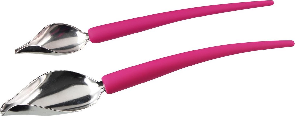 Set van 2 Decoreerlepels RVS met Antislip Handvat voor Garneren en Iets Decoreren