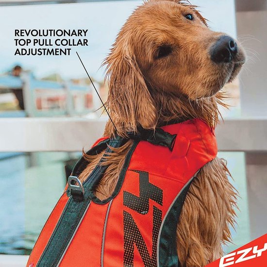 Bruine hond met natte vacht draagt een felrood zwemvest, met tekst: "REVOLUTIONARY TOP PULL COLLAR ADJUSTMENT".