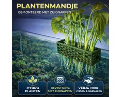 T3D Aquarium Plantenhouder – set van 2 - Aquarium Decoratie & Waterplanten Houder – Honingraat Aquascape Plantenstandaard – Voor Aquarium Bezitters – Groen