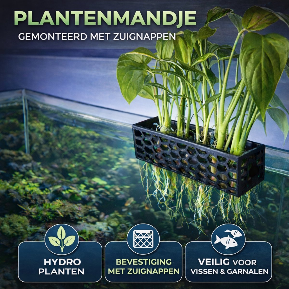 T3D Aquarium Plantenhouder – Aquarium Decoratie & Waterplanten Houder – Set van 2 - Honingraat Aquascape Plantenstandaard – Voor Aquarium Bezitters – Zwart