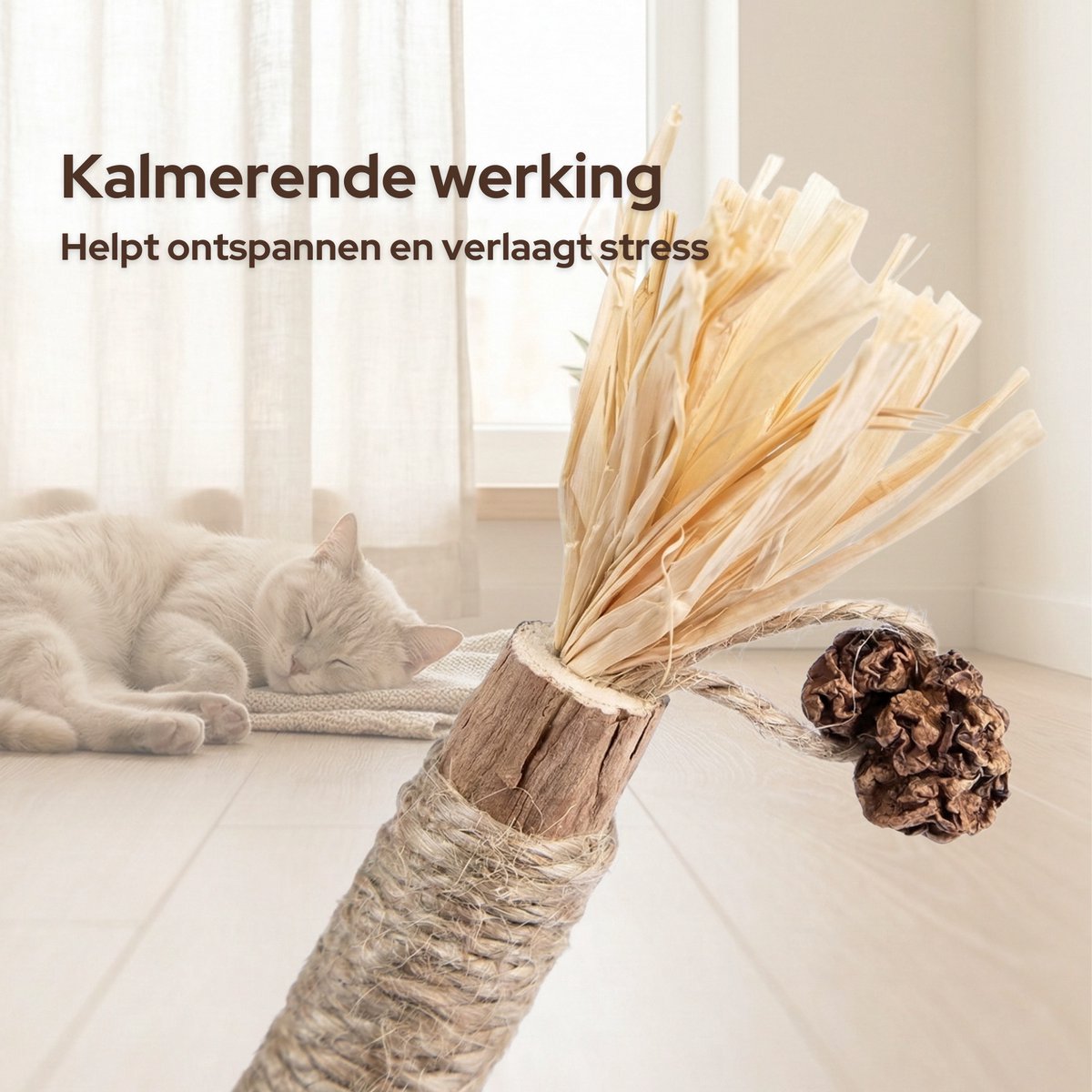 FURTASTIC® Matatabi Stokjes voor Katten - 4 Stuks – 100% Natuurlijk Catnip Kattenspeelgoed — afbeelding 2