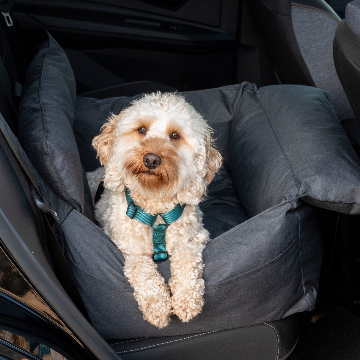 Autostoel hond - Antraciet - Hondenmand auto - Honden automand - Autostoel beschermer - Autostoelhoes - Autozitje - Autostoel organizer - Autostoel - Honden autostoel - Wasbaar - Trimmi