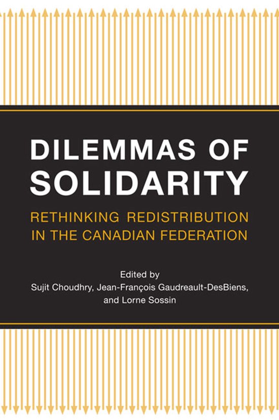 Dilemmas of Solidarity - cover