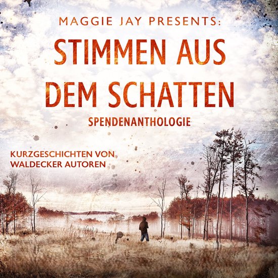 Stimmen aus dem Schatten - cover