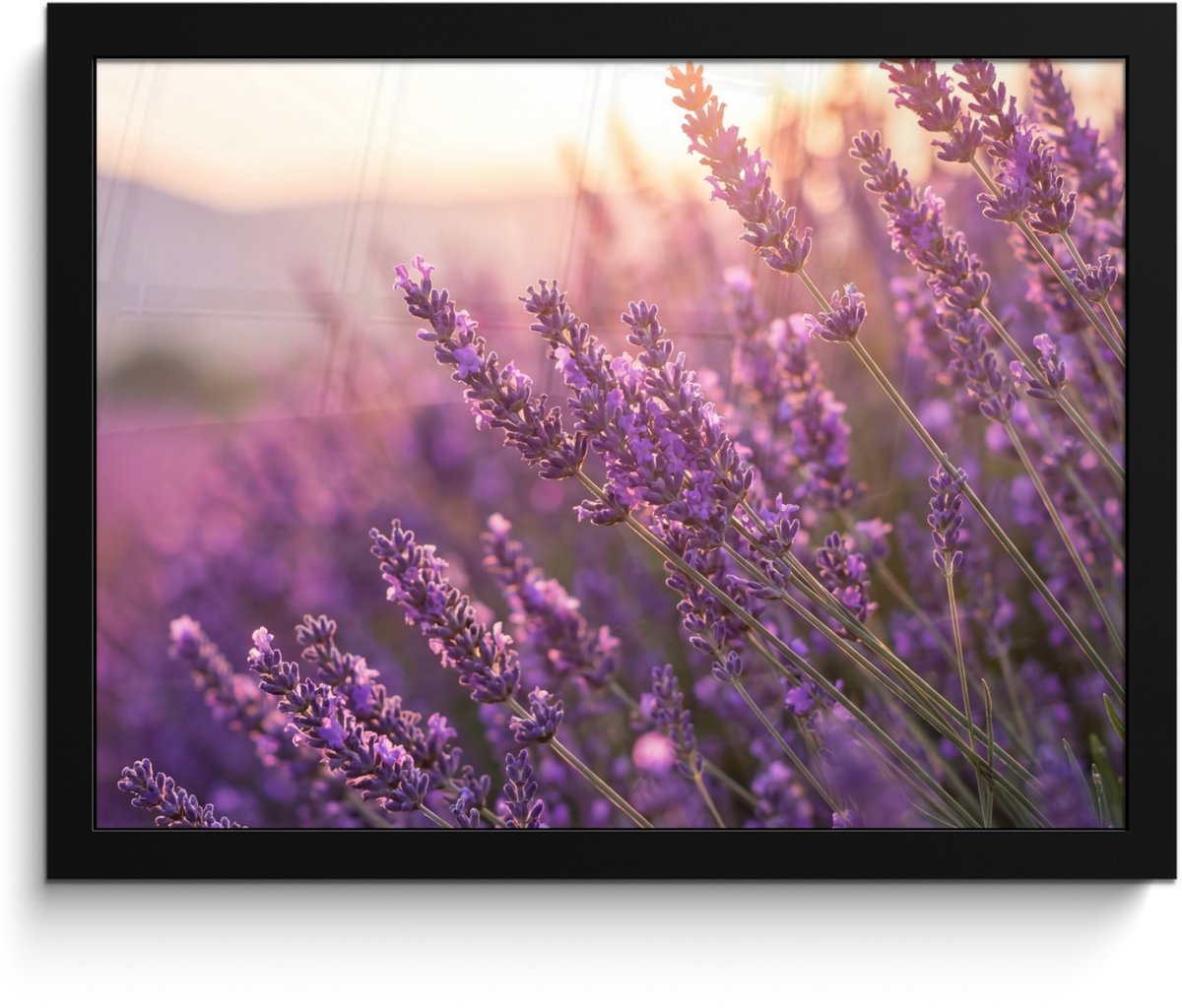FrameYourWall Poster in lijst - Fotolijst 40x30 cm - Posters - Lavendel - Paars - Zonlicht - Posterlijst zwart - Decoratie - Wanddecoratie woonkamer - Muurdecoratie slaapkamer