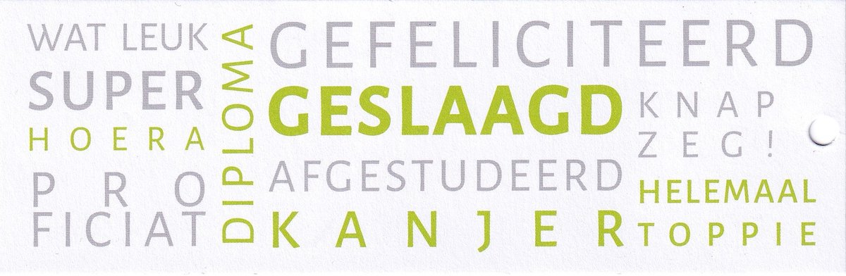 Geslaagd - Bloemenkaartjes - 25 Stuks – Minikaartjes – 5 x 15 cm - Bloemist - Cadeau – JK-253