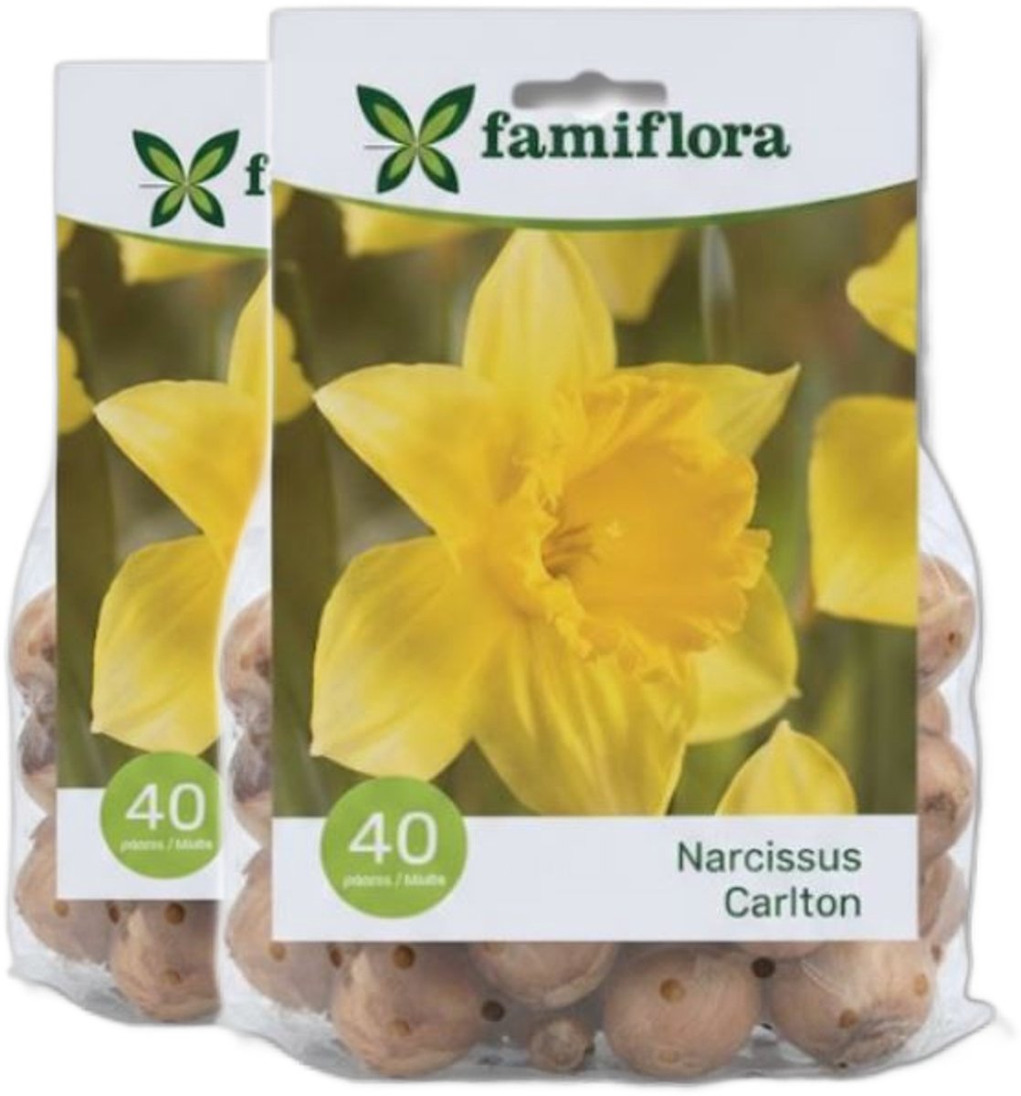 Famiflora Narcissus Carlton 2 x 40 - 80 bloembollen - Heldere bloemen brengen vreugde en optimisme in je tuin - Verhoogt aantrekkingskracht voor bijen en andere bestuivers