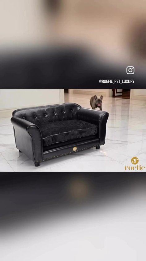 PawHut hondenbed, rond hondenkussen, bed voor huisdieren, wasbare mat voor huisdieren, kattenbed, donutkussen, hondenbank voor minihonden, minikatsen, fluweel, 55 x 14 cm, grijs