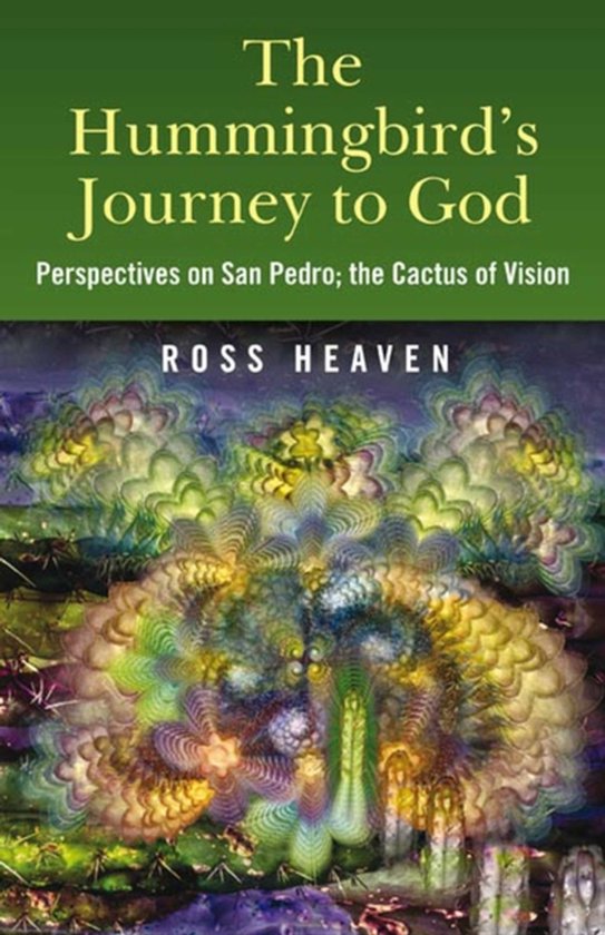 Livre 'The Hummingbird's Journey to God' avec une illustration psychédélique colorée d'un colibri.
