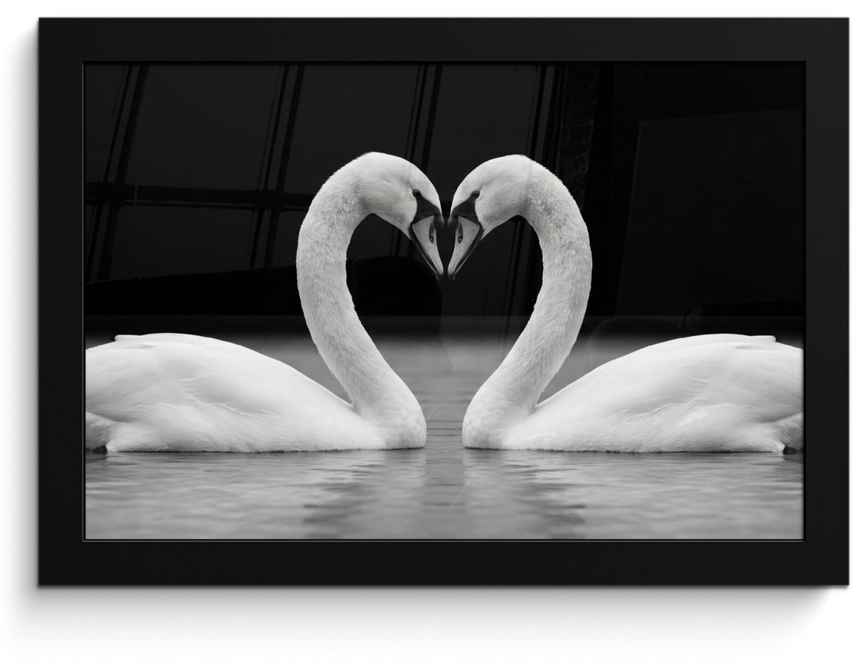 FrameYourWall Poster in lijst - Fotolijst 30x20 cm - Posters - Zwanen - Hart - Zwart - Wit - Posterlijst zwart - Decoratie - Wanddecoratie woonkamer - Muurdecoratie slaapkamer