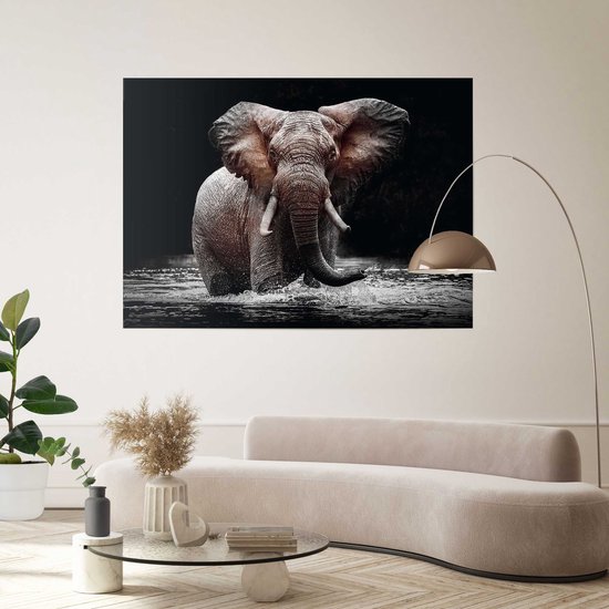 Poster XXL Éléphant
