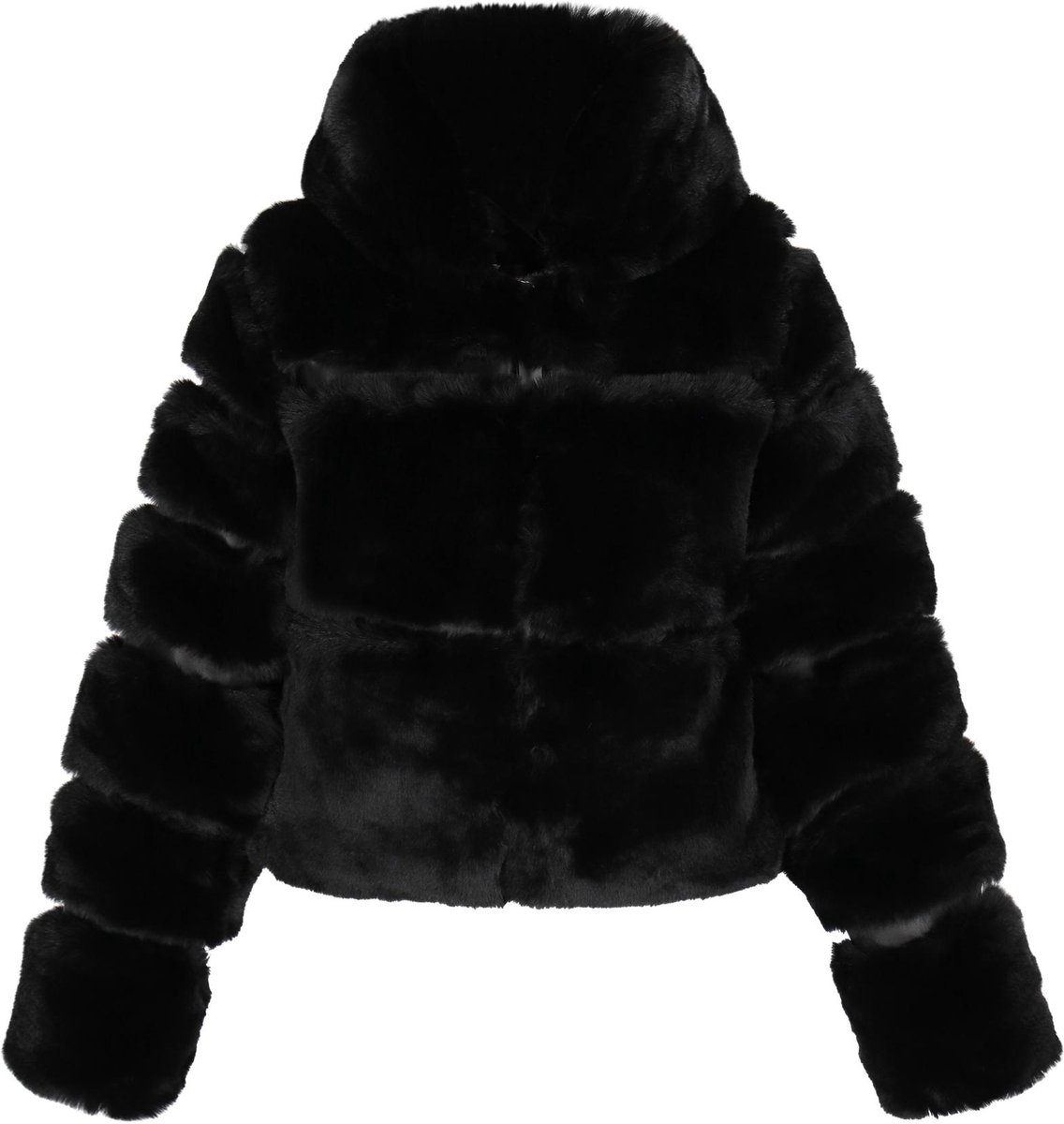 taddy jacket