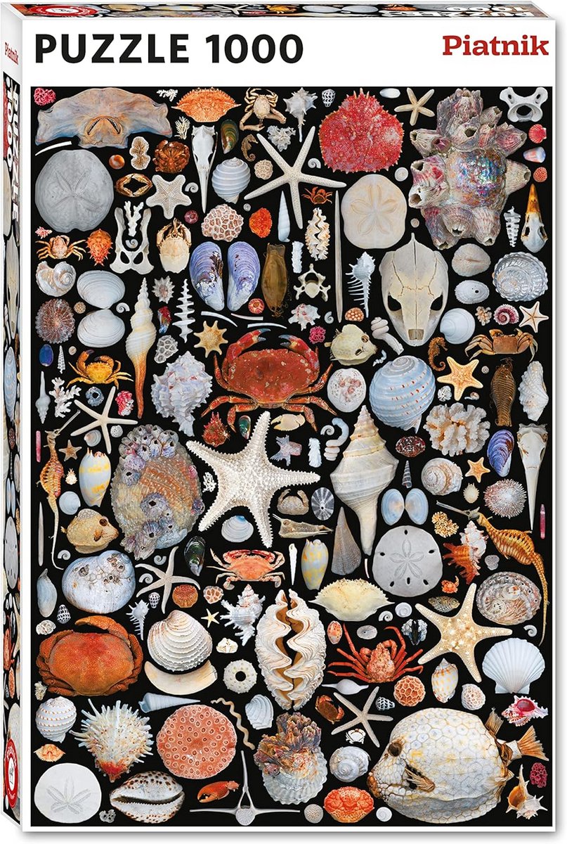 Puzzel 1000 stukjes Collage Strand Strandvondsten