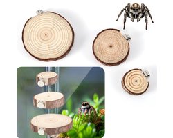 Springspin Terrarium - Magnetische Ingang Accessoires - Houten en IJzeren Constructie