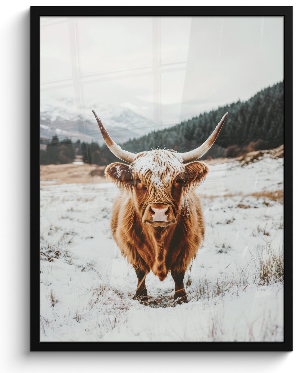 FrameYourWall Poster in lijst - Fotolijst 50x70 cm - Posters - Schotse Hooglander - Landschap - Sneeuw - Bergen - Winter - Posterlijst zwart - Decoratie - Wanddecoratie woonkamer - Muurdecoratie slaapkamer Schootse Hooglander