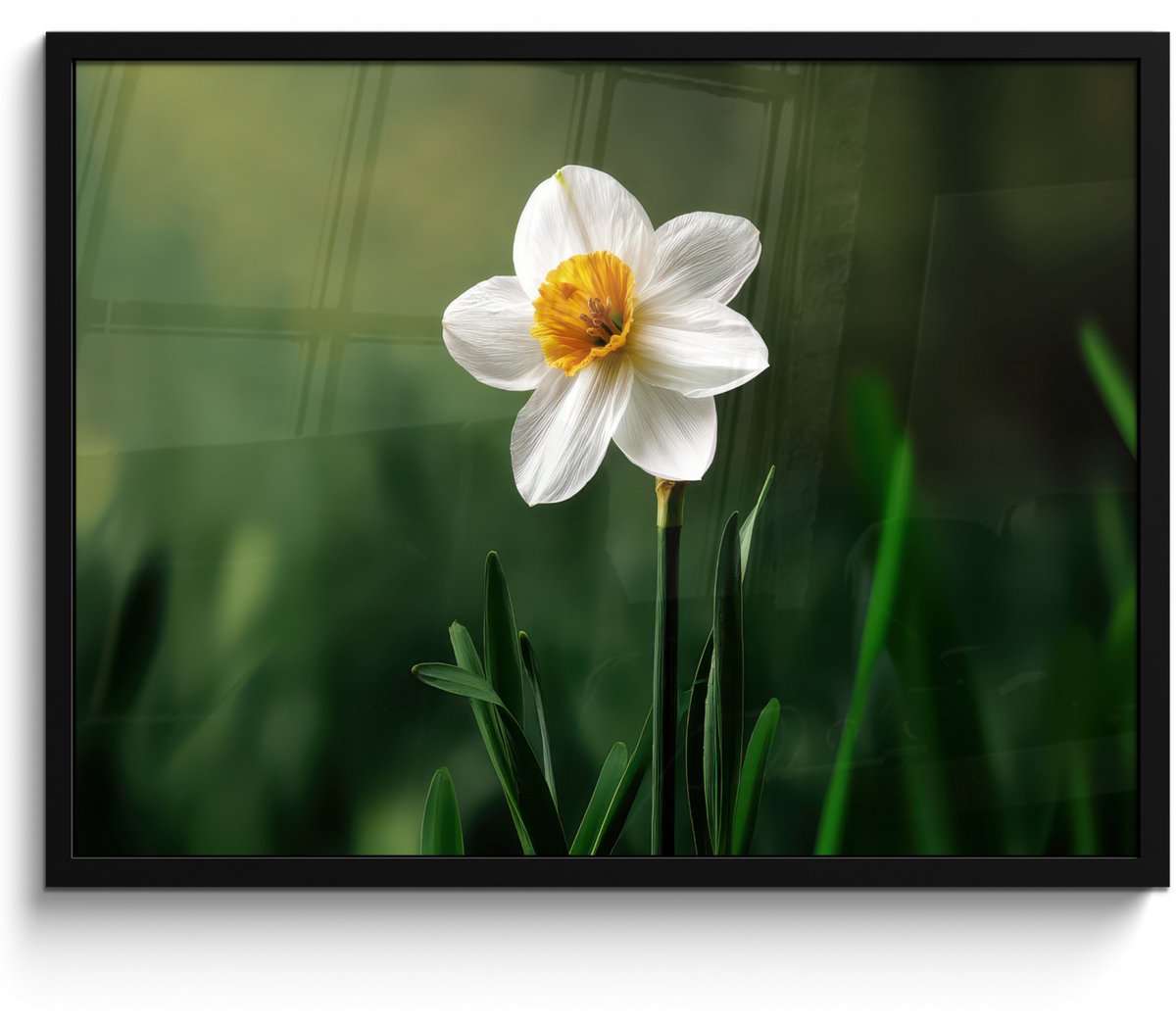 FrameYourWall Poster in lijst - Fotolijst 70x50 cm - Posters - Narcis - Bloem - Wit - Grassprieten - Posterlijst zwart - Decoratie - Wanddecoratie woonkamer - Muurdecoratie slaapkamer